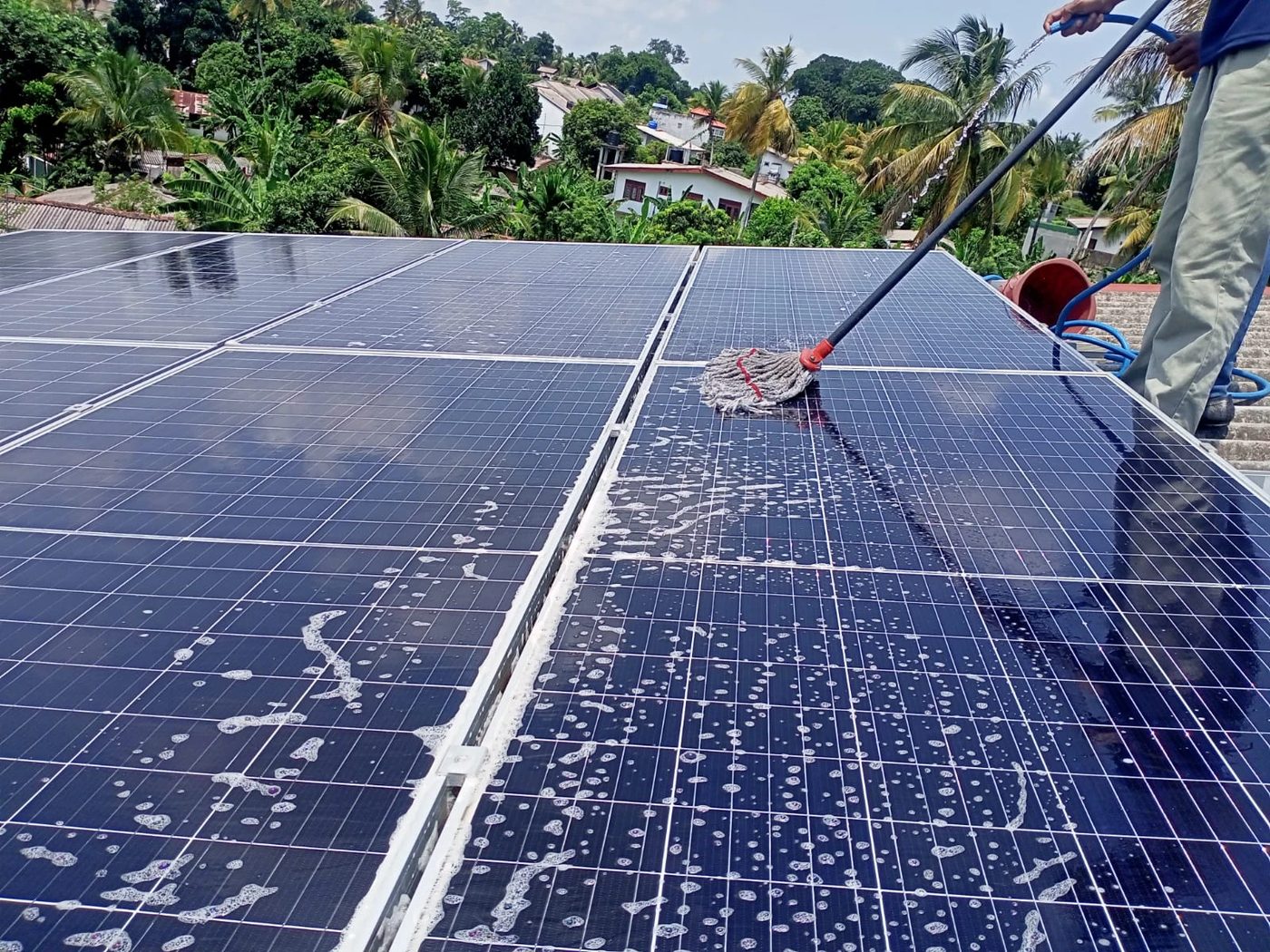 Technician mopping a rooftop array near Kandy, surrounded by palm trees