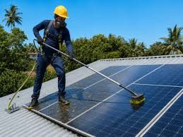 Technician cleaning a rooftop array with palm trees in the background